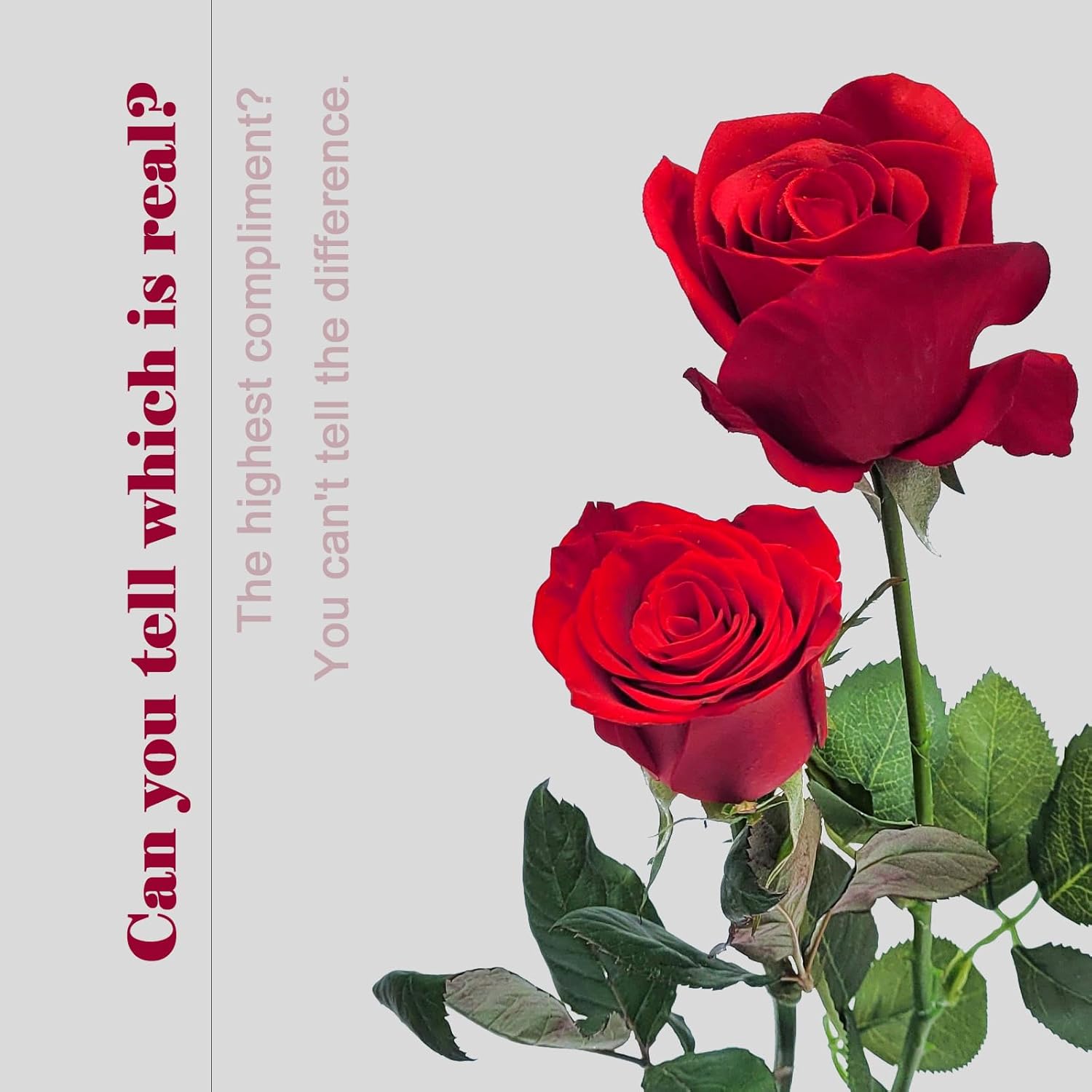 10 Single 26inch Real Touch Artificial Roses - Long Stem Fake Silk Flowers with Leaves, Looking Real, for Tall vase, Wedding, Home Decor, Centerpieces, Office Party, (10,Red)